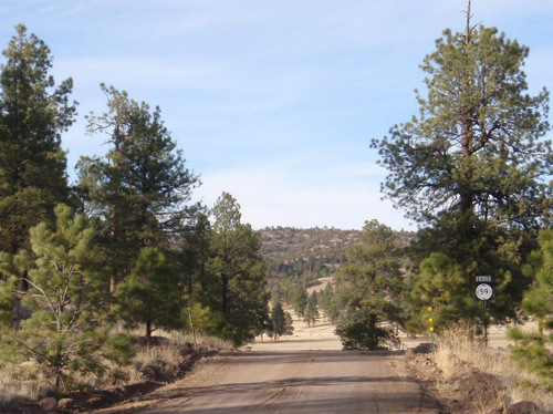 NM State Road 59 just merged into NF 150.